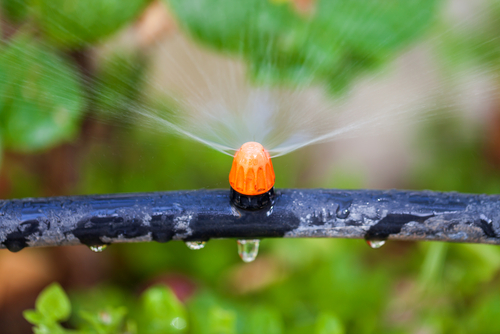 Irrigation PEO Services