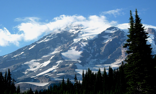 Washington Employee Leasing Companies & Payroll Services