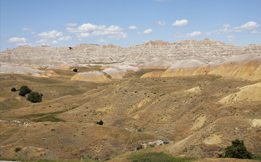 South Dakota PEO Companies