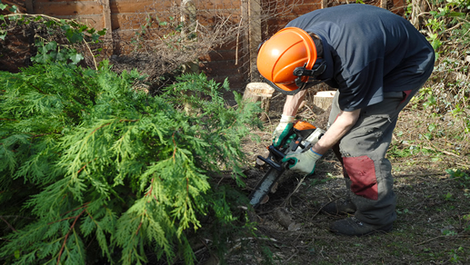 PEOs for Arborists