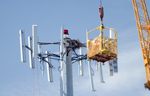 Cell Tower PEO Services