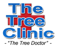 The Tree Clinic
